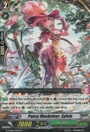 Pansy Musketeer, Sylvia [G Format]