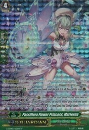 Passiflora Flower Princess, Marleena [G Format]