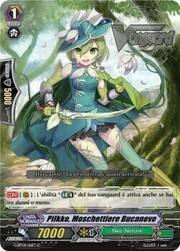 Snowdrop Musketeer, Pilkko [G Format]