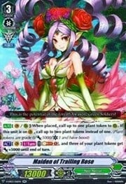 Maiden of Trailing Rose [V Format]