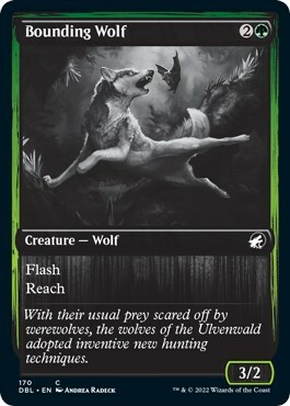 Bounding Wolf Card Front