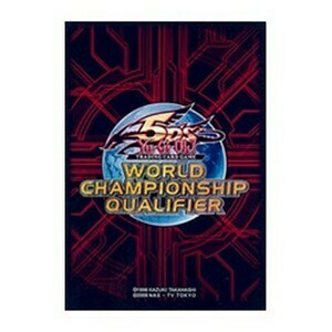 15 WCQ 2011 Sleeves
