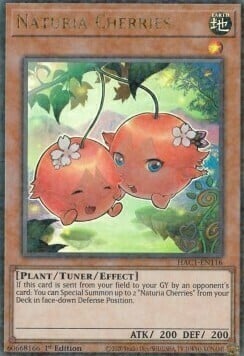 Naturia Cherries Card Front