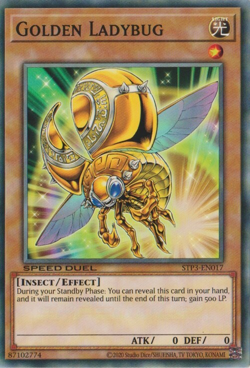 Golden Ladybug Card Front