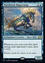 Wavebreak Hippocamp