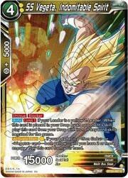 SS Vegeta, Indomitable Spirit