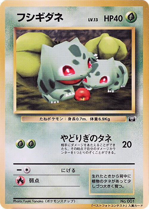 Bulbasaur Lv.13 Card Front
