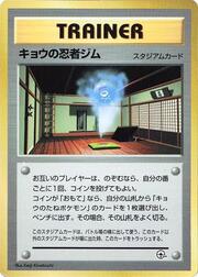 Koga's Ninja Gym