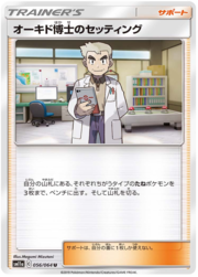 Allestimento del Professor Oak