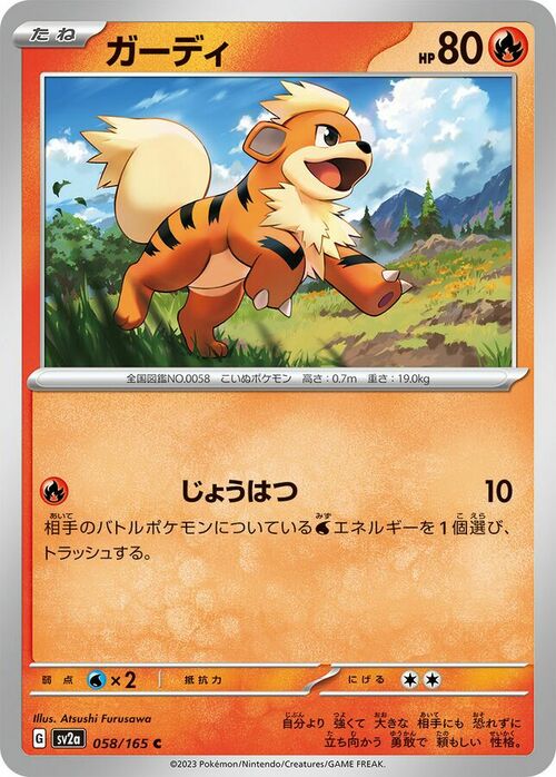 Growlithe Frente