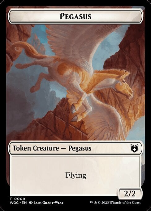 Pirate // Pegasus Frente