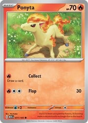 Ponyta