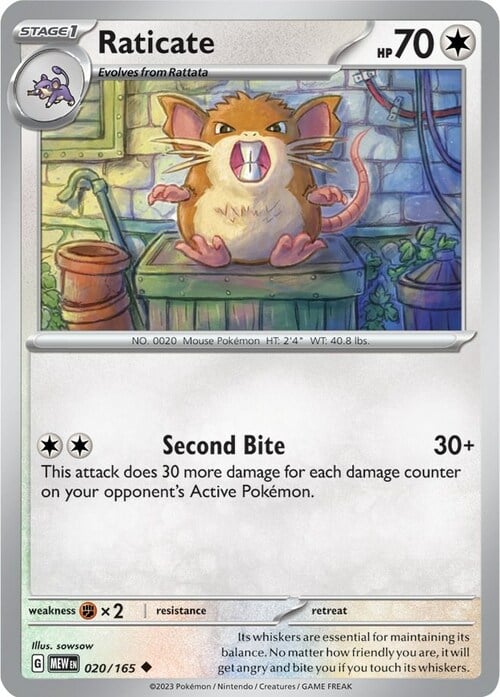 Raticate Card Front