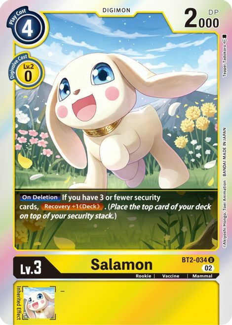 Salamon Card Front