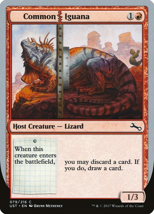 Common Iguana Card Front