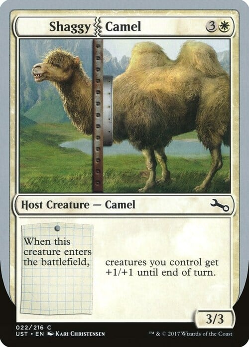 Shaggy Camel Card Front