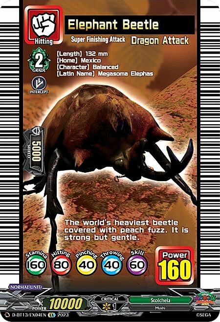 Elephant Beetle Card Front