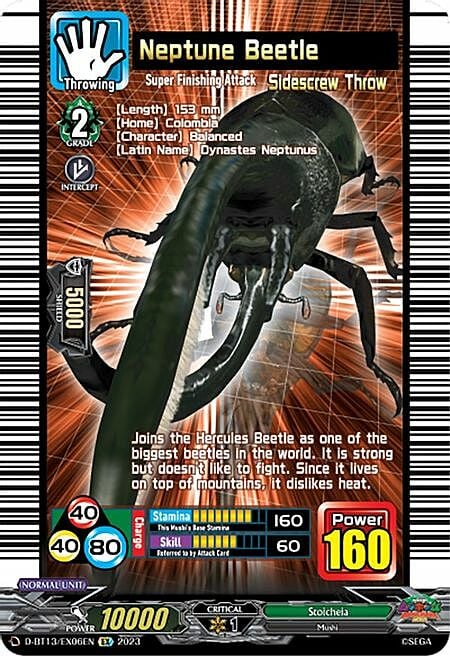 Neptune Beetle Card Front