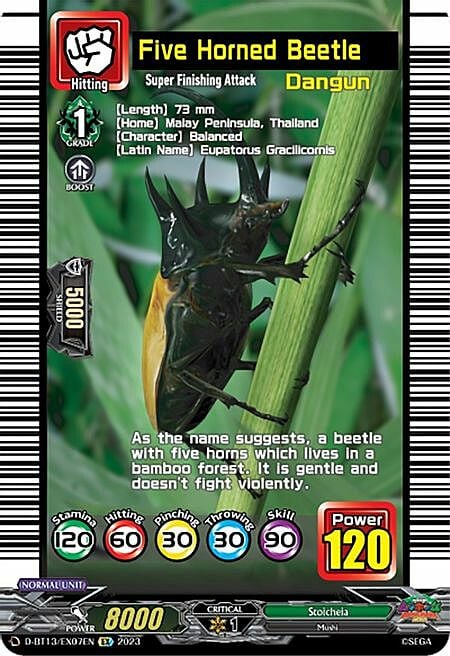 Five Horned Beetle Card Front