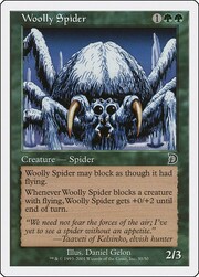 Woolly Spider