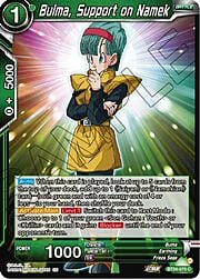 Bulma, Support on Namek