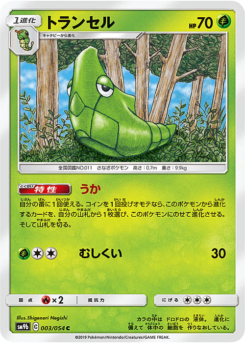 Metapod Card Front