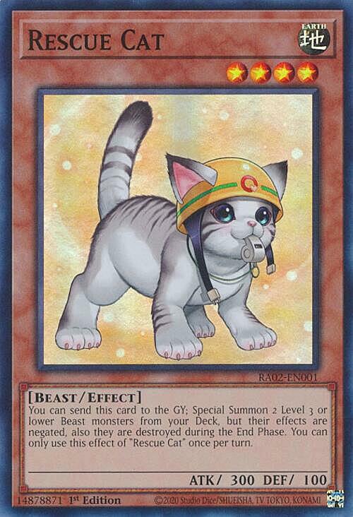 Rescue Cat Card Front