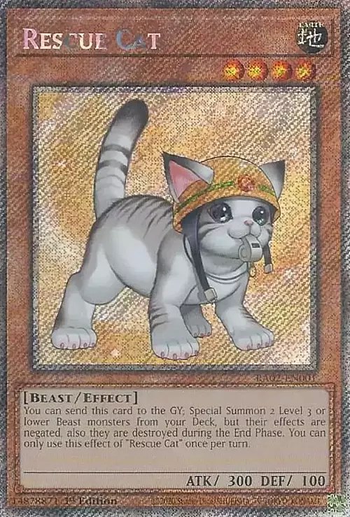Rescue Cat Card Front