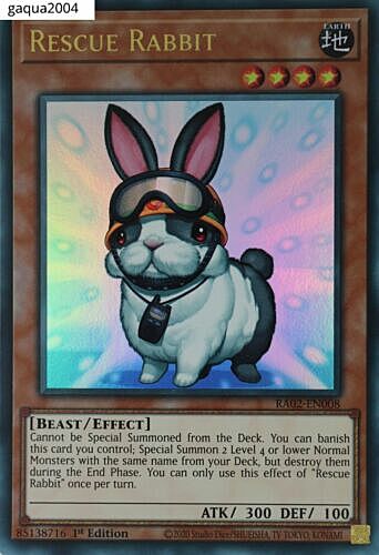 Rescue Rabbit Card Front