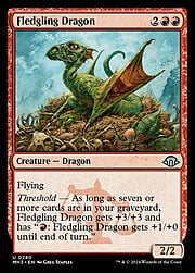 Dragón Novato