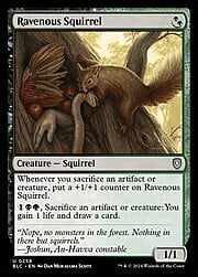 Ravenous Squirrel