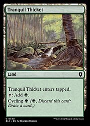 Tranquil Thicket