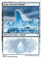 Snow-Covered Island