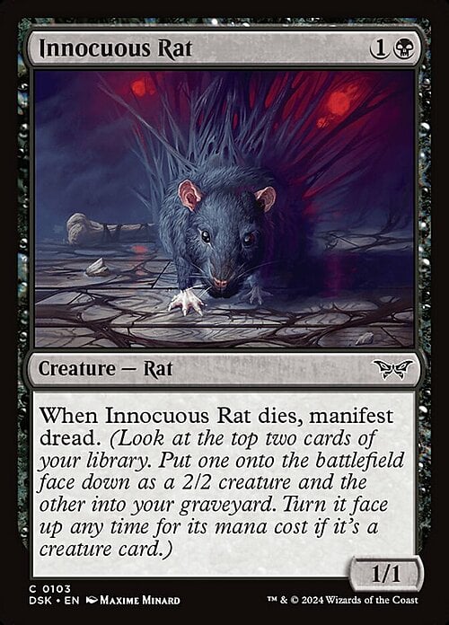 Innocuous Rat Frente