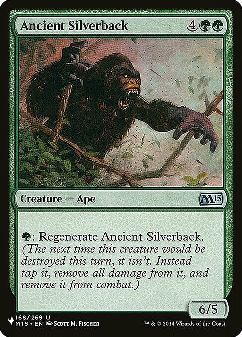 Ancient Silverback Card Front