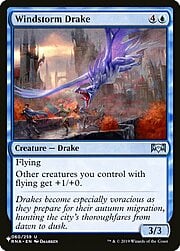 Windstorm Drake