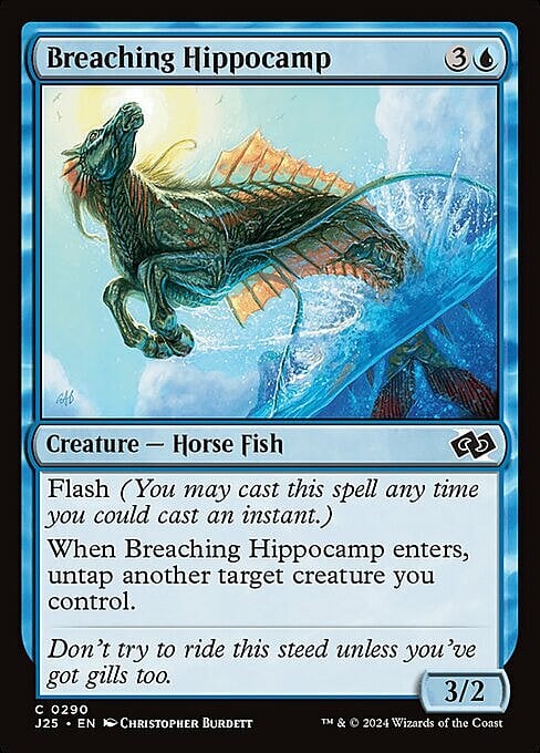 Breaching Hippocamp Card Front