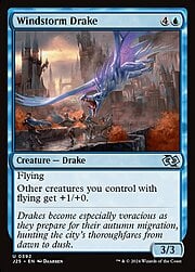 Windstorm Drake