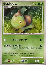 Turtwig Lv.8