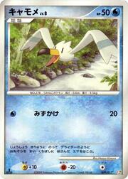 Wingull Lv.8