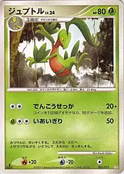 Grovyle Lv.24