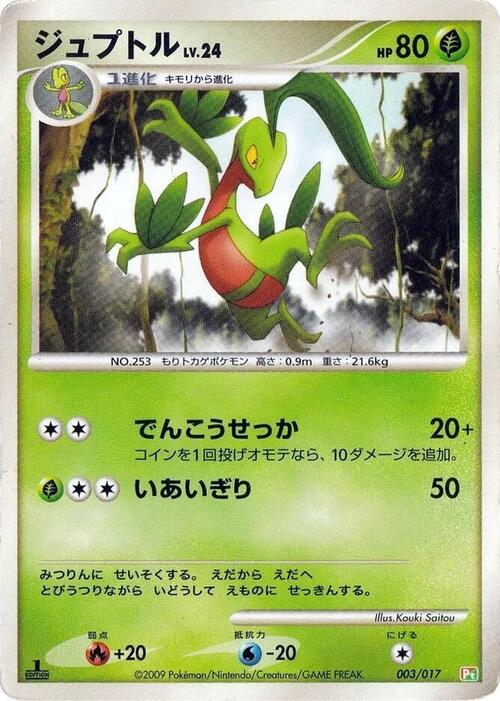 Grovyle Lv.24 Card Front