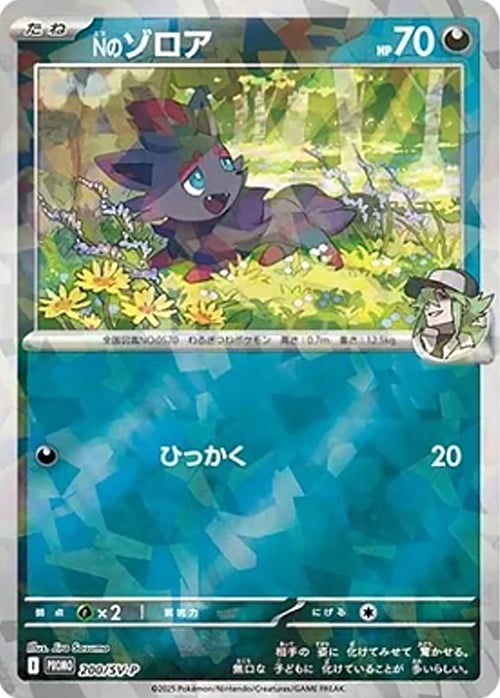 N's Zorua Card Front