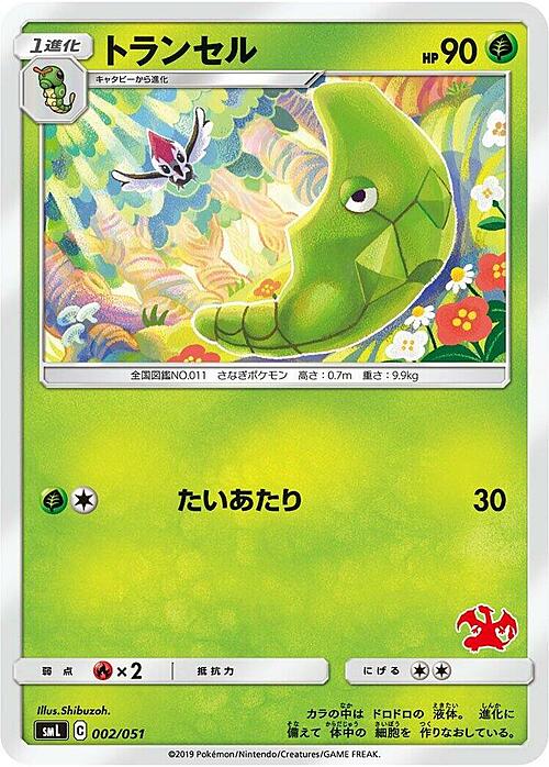 Metapod Card Front