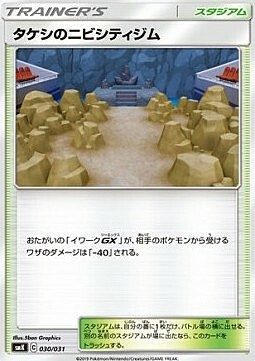 Brock's Pewter City Gym Card Front