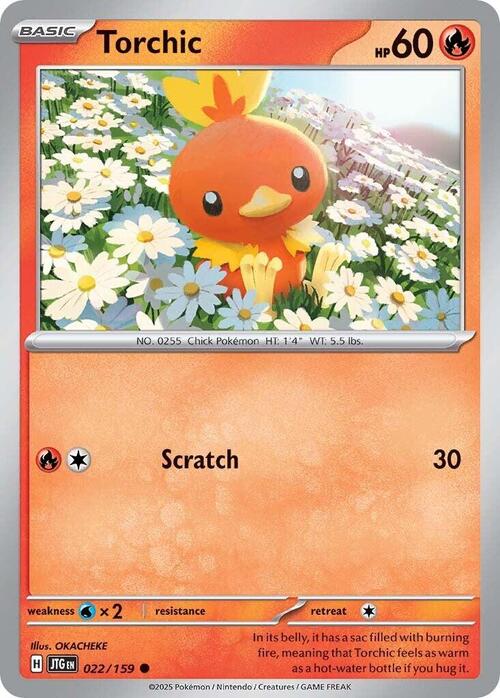 Torchic Card Front