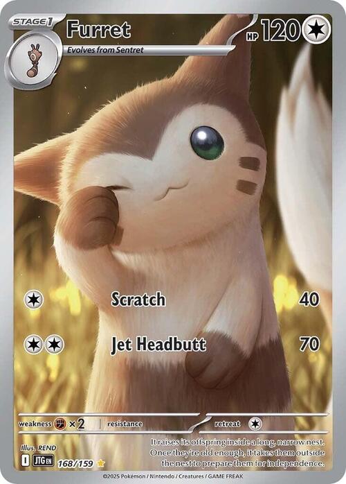Furret Card Front