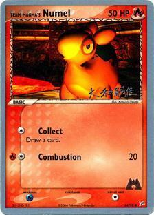 Team Magma Numel Card Front