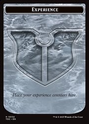 Experience // Treasure