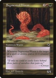 Segmented Wurm